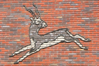 Indische antilope in Groningen