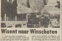 19800603 Nieuwsblad van het Noorden- Wisent naar Winschoten